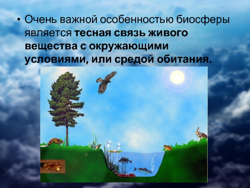 Презентация на тему биосфера 9 класс по биологии