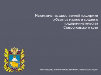 Механизмы государственной поддержки субъектов малого и среднего предпринимательства           Ставропольского края