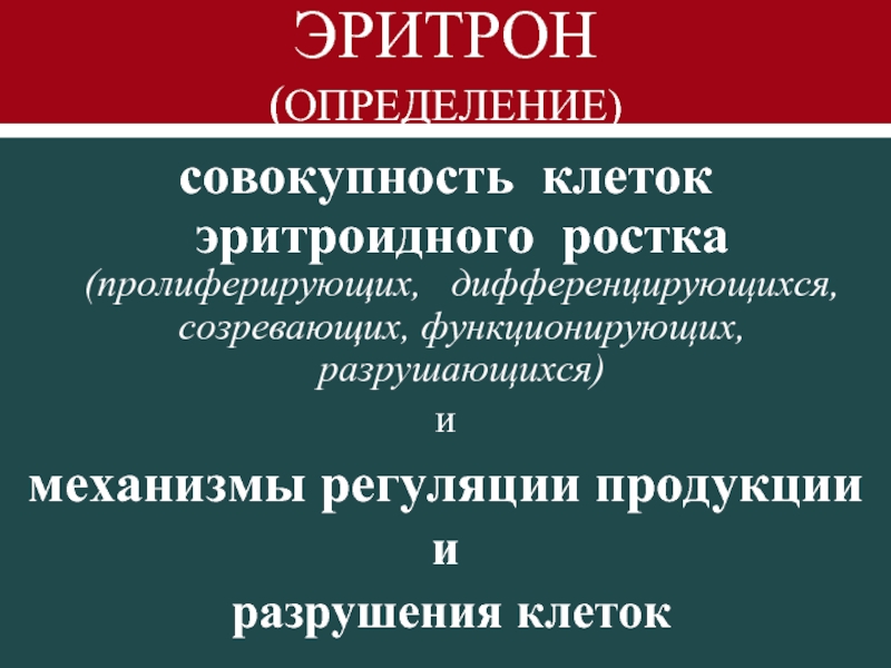 Эритрон. Эритрон клетки. Компоненты эритрона. Эритроидного ростка.