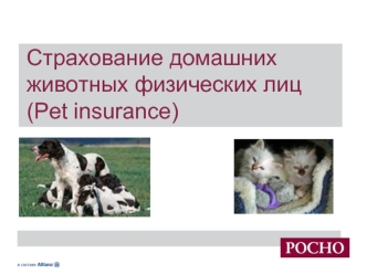 Страхование домашних животных физических лиц(Pet insurance)