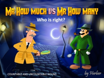 Mr. How Much or Mr. How Many. Who is right?