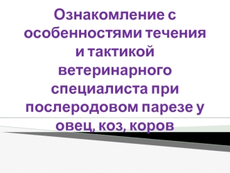 Ознакомление с особенностями течения и тактикой ветеринарного специалиста при послеродовом парезе у овец, коз, коров