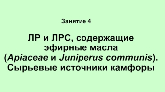 Занятие 4. ЛР и ЛРС, содержащие эфирные масла (Apiaceae и Juniperus communis). Сырьевые источники камфоры