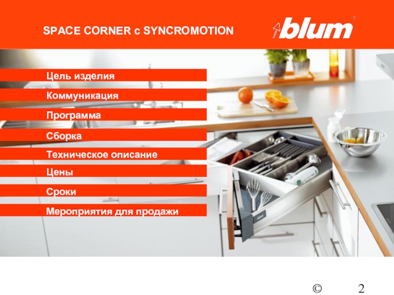 Как вывести блюм. Space Corner Blum. Спейс Корнер. Гарантия Блюм. Julius Blum.