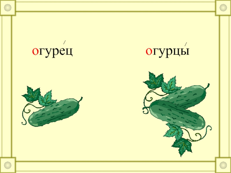 Корень слова огурец. Огурец слово. Огурец для презентации. Слайд огурцах. Огурцы это существительное.