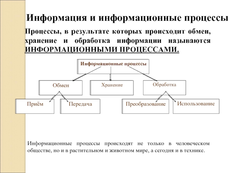 Информационные процессы в обществе картинки