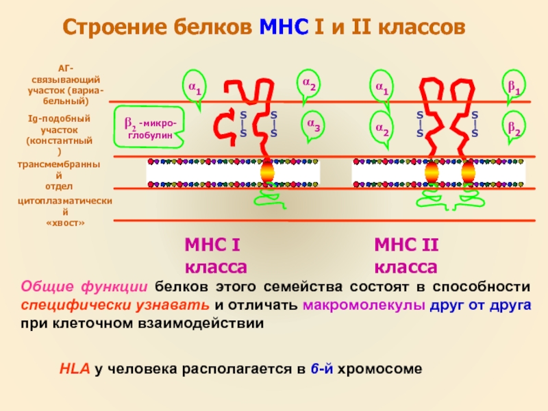 I и ii классов