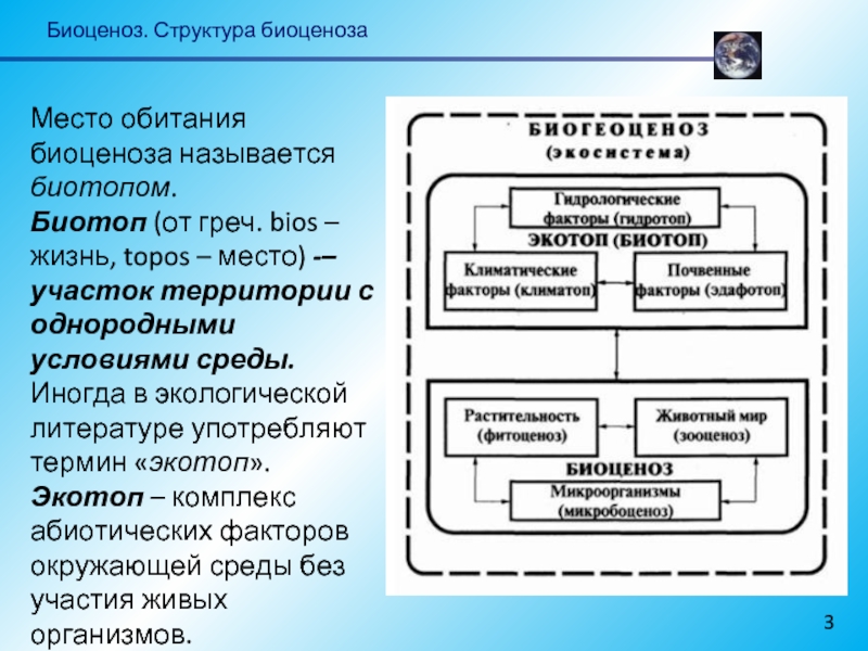 Состав и структура биоценоза презентация - 85 фото