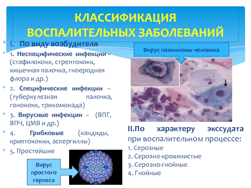 Виды возбудителей