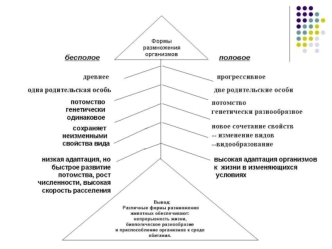 Формі размножения организмов