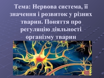 Нервова система, її значення і розвиток у різних тварин. Поняття про регуляцію діяльності організму тварин