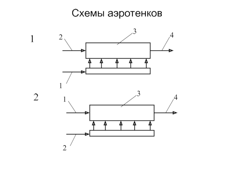 Биомагнитные регенераторы