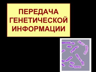 Передача генетической информации