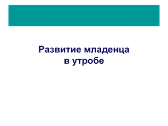 Развитие младенца в утробе