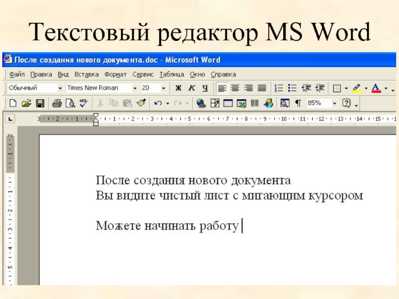 Текстовые редакторы на компьютере. Текстовые процессор MS Word. Текстовый редактор. Редактор текста. Текстового редактора Word.