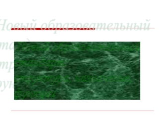 Новый образовательный 
стандарт:
структура, назначение,
функции