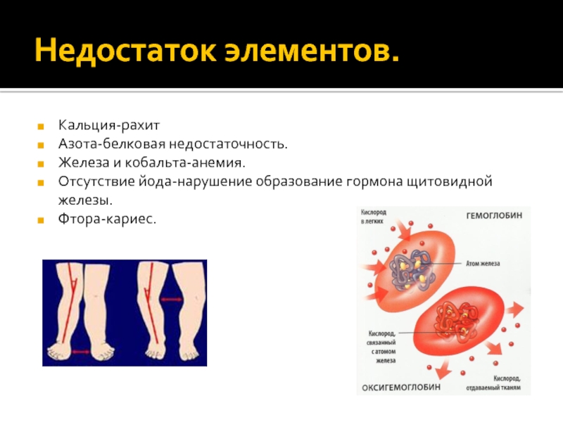 Дефицит элементов и внешность проект