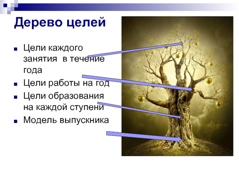 Цель каждого. Дерево целей. Дерево целей на уроке. Дерево целей и задач. Дерево целое дерево целое.