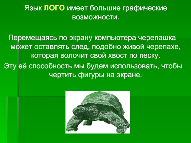 Черепашка в языке лого. Черепаха с компьютером. Черепаха за компьютером. Язык лого 1985 черепаха. Способность перемещаться