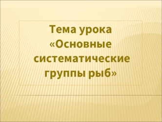 Основные систематические группы рыб