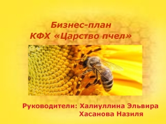 Бизнес-план КФХ Царство пчел