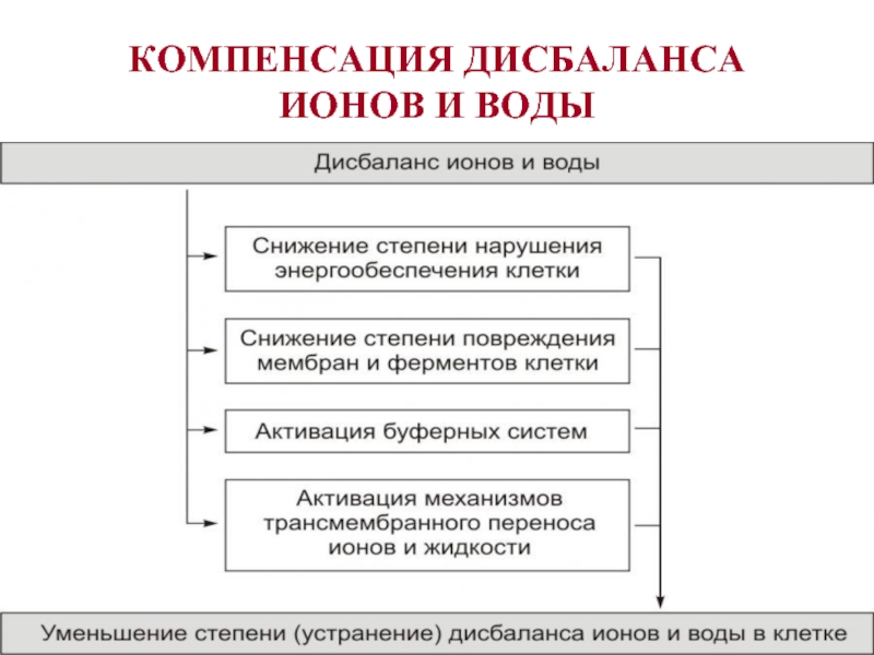 Компенсация нарушения. Дисбаланс ионов и воды в клетке. Дисбаланс ионов и воды. Компенсация один примогем.