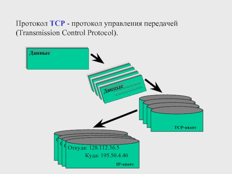 Управление и передача информации. Протокол ТСР/IP передача данных. Протокол управления передачей TCP. Протокол ТСП. Протокол управления передачей пакетов.