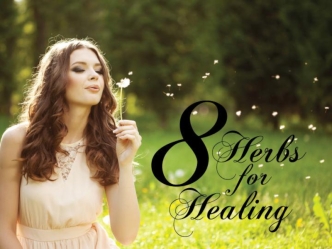 8 Herbs for Healing