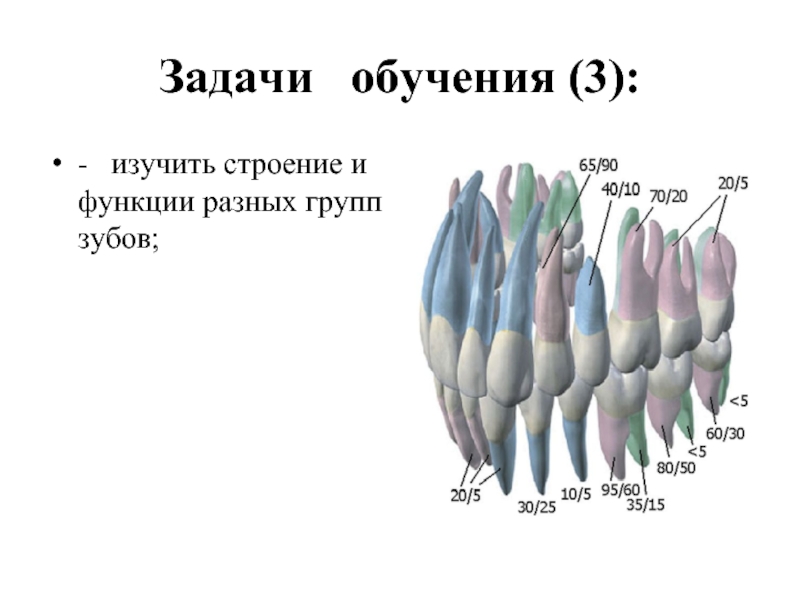 Фантомный курс терапевтической стоматологии.