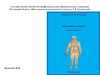 Строение мышцы как органа