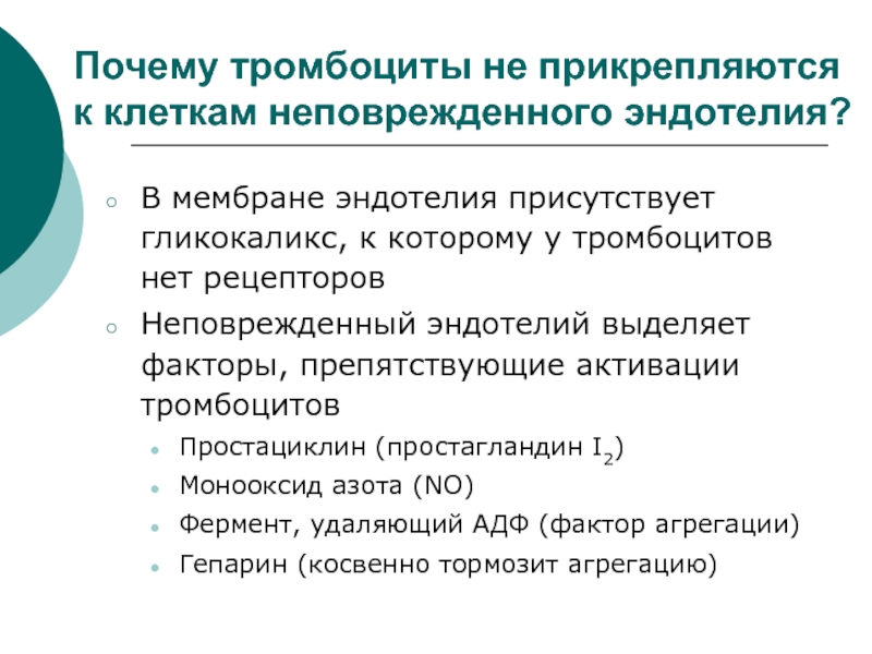 Гликокаликс эндотелия. Средства препятствующие действию АДФ на тромбоциты. АДФ рецепторы тромбоцитов это.