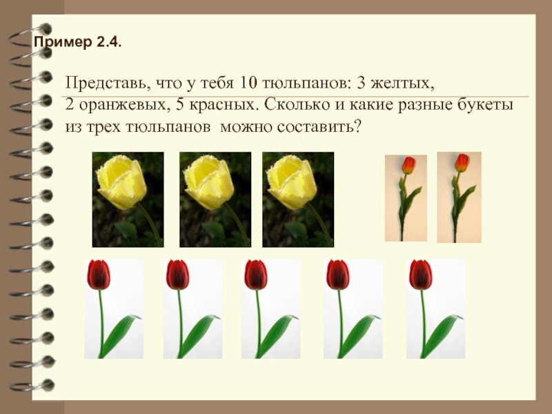 Сколько стоит три тюльпана. Три тюльпана. Математика тюльпаны. Два цветка разных тюльпана. 3 Тюльпаны разных цветов.
