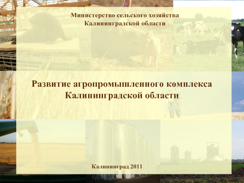 Хозяйство калининградской области презентация