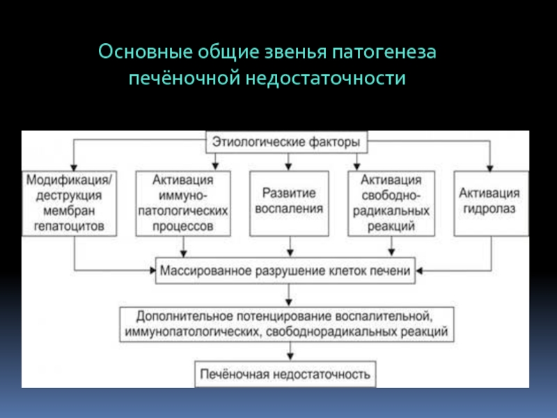 Основное звено патогенеза. Основные факторы патогенеза печеночной комы. Отеки при печеночной недостаточности патогенез. Схема печеночной энцефалопатии патогенез печеночной. Основные звенья патогенеза комы.