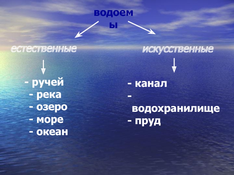 Реки озера моря одним словом