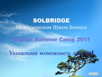 Международная школа бизнеса SolBridge