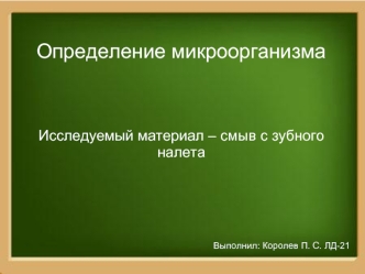 Определение микроорганизма. Смыв с зубного налета