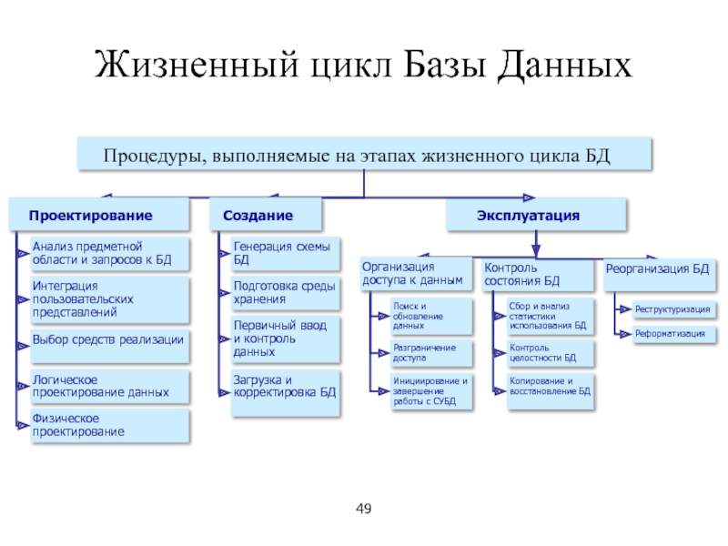 Презентация жизненный цикл базы данных