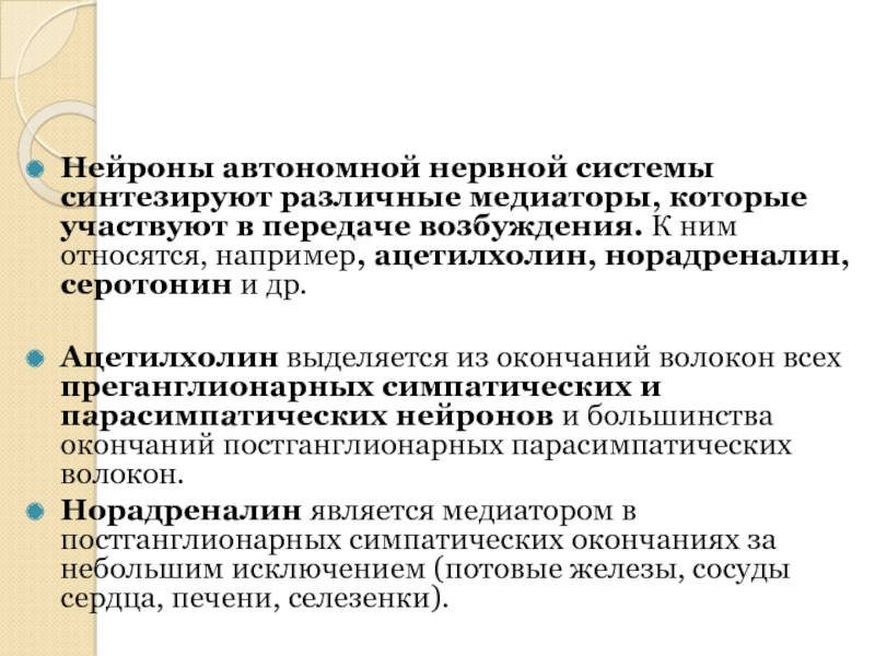 Нейроны автономной нервной системы