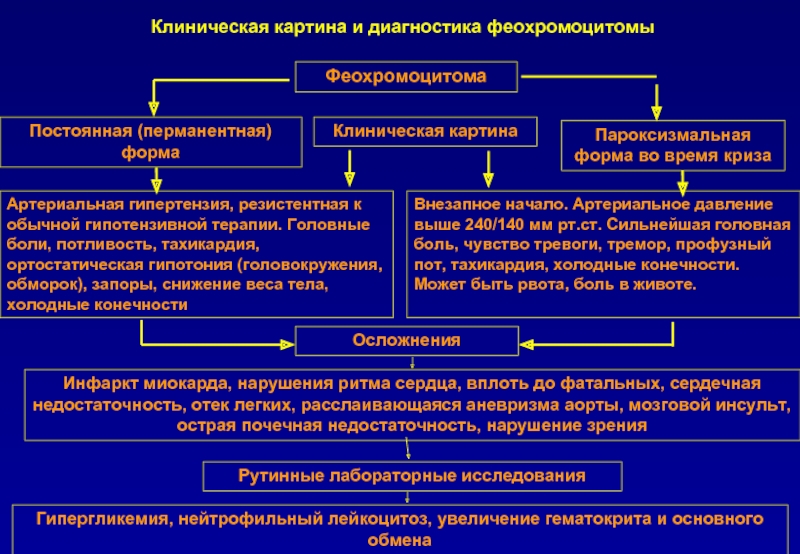 Патогенез феохромоцитомы схема