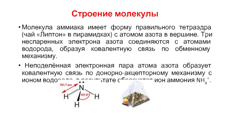 Атомы соединены тремя общими электронными парами аммиака