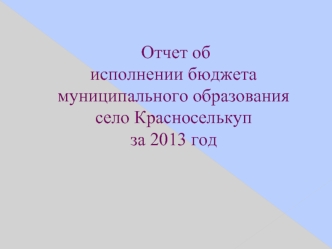 Отчет обисполнении бюджета муниципального образования село Красноселькупза 2013 год