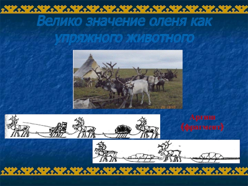 А что означает слово аргиш. Великий значение. Упряжные волы проверочное.