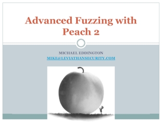 Advanced Fuzzing with Peach 2