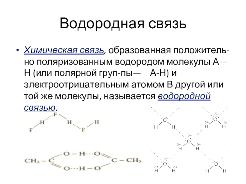 Водородная связь образуется между