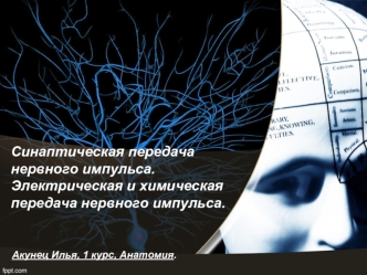 Синаптическая передача нервного импульса. Электрическая и химическая передача нервного импульса