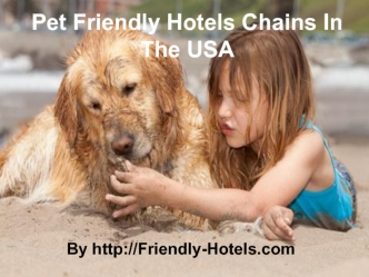 Pet Friendly Hotels Chains In The USA