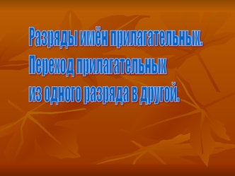 Разряды имён прилагательных.
Переход прилагательных
из одного разряда в другой.