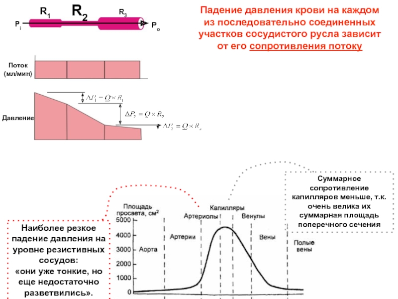 Резко падает давление. Давление крови в разных участках сосудистого русла. Изменение кровяного давления в различных участках сосудистого русла. Изменение сопротивления в различных участках сосудистого русла. Падение давления крови.