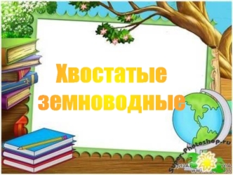 Хвостатые земноводные